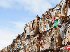 Consultas Públicas: decretos sobre LR das embalagens de metal e papel e papelão