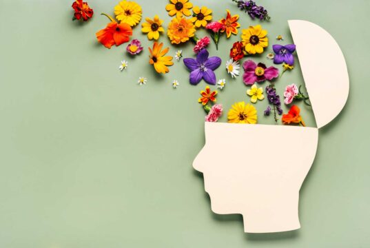 IA (Inteligência Artificial) cadê a IH (Inteligência Humana)?